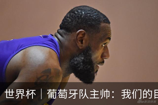 世界杯｜葡萄牙队主帅：我们的目标是打满八场比赛
